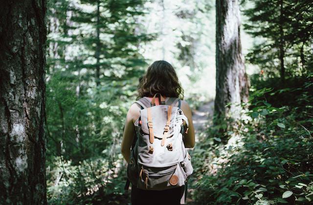 A walk in the woods